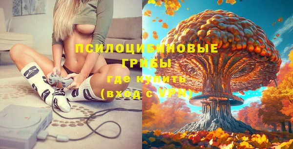тгк Горно-Алтайск