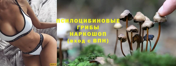марки nbome Горняк