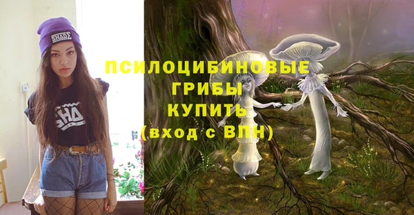 скорость Горнозаводск