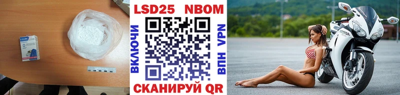 Купить закладки  Каргополь  LSD-25 экстази кислота 