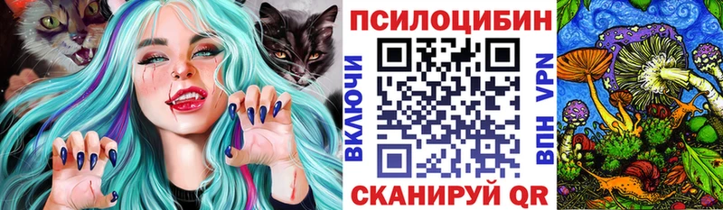 Галлюциногенные грибы Psilocybine cubensis  Купить где  Каргополь 